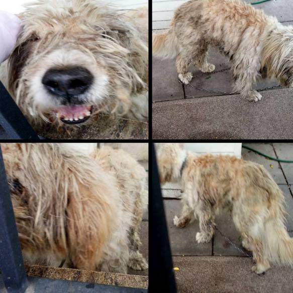 964182_10200811500542324_959816825_o