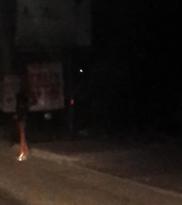 Immagine54565464rr33